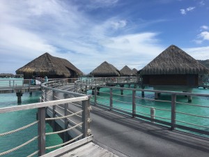 IMG_2545