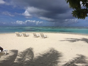 IMG_3684
