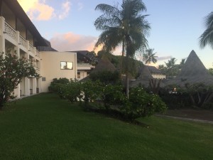 IMG_3870